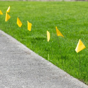 Utility Flags in Thurber Park, Severson Park, and April Hill Park